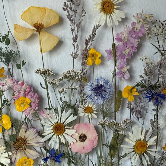 Tanec květů různorodých