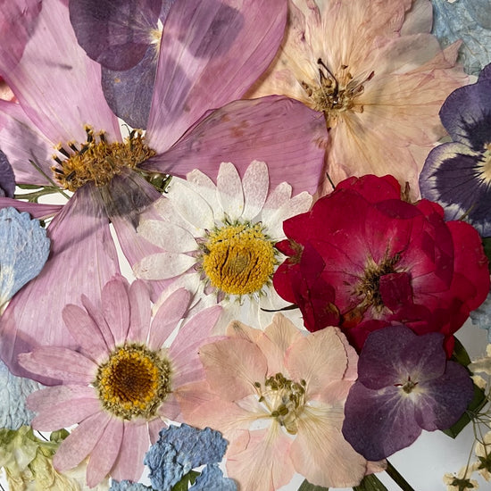 Na konci duhy hledej poklad