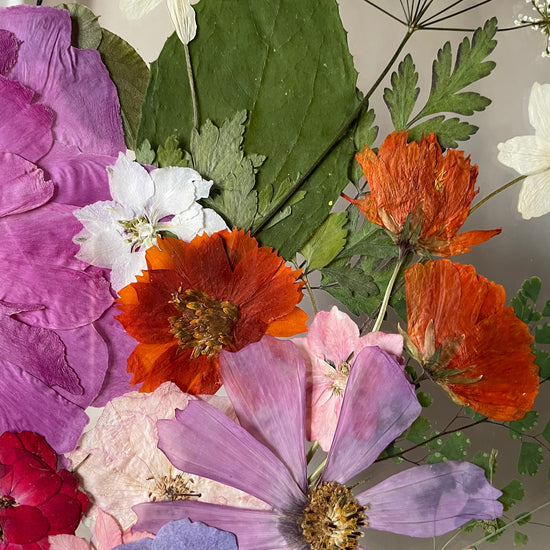 Čarodějné kvítí