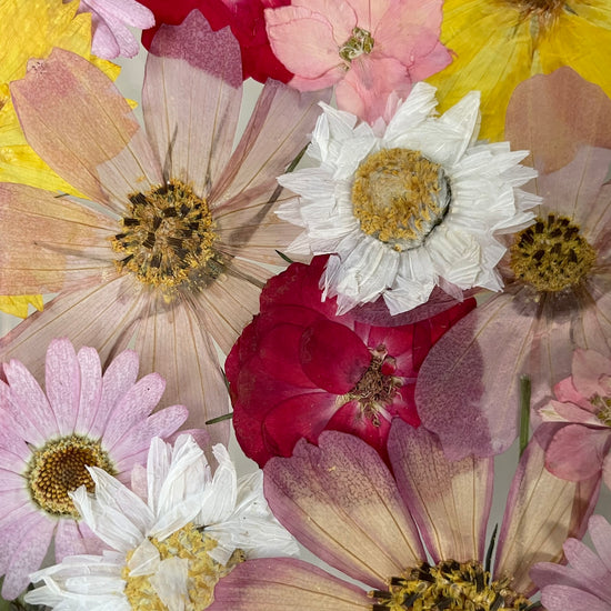 Cestou na palouček plný kouzel