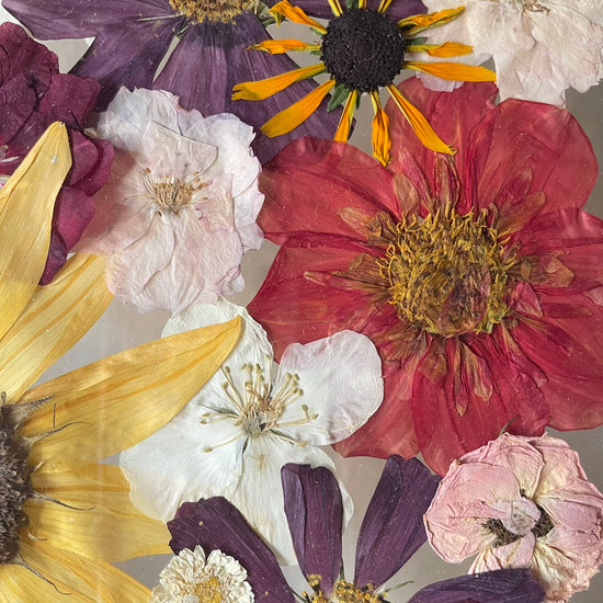 Velký květinový podzimníček