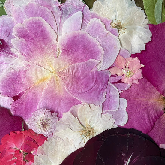 Vášeň v květech ukrytá