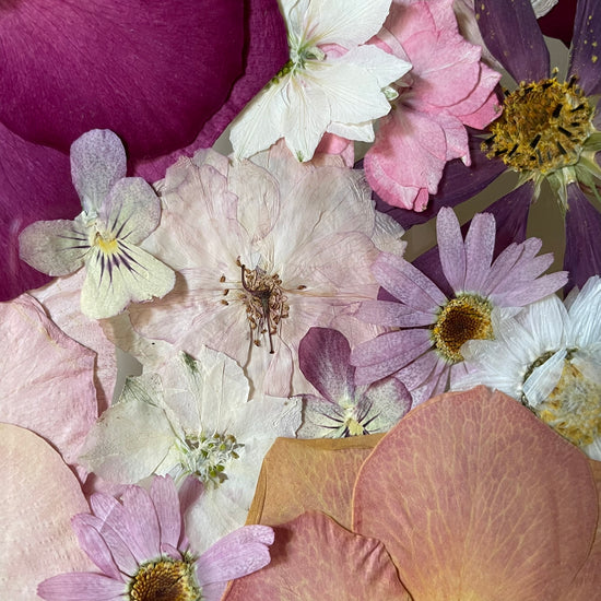 Vábení hřejivých květů