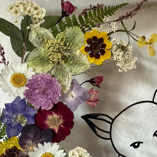 Liška s lučním ohonem