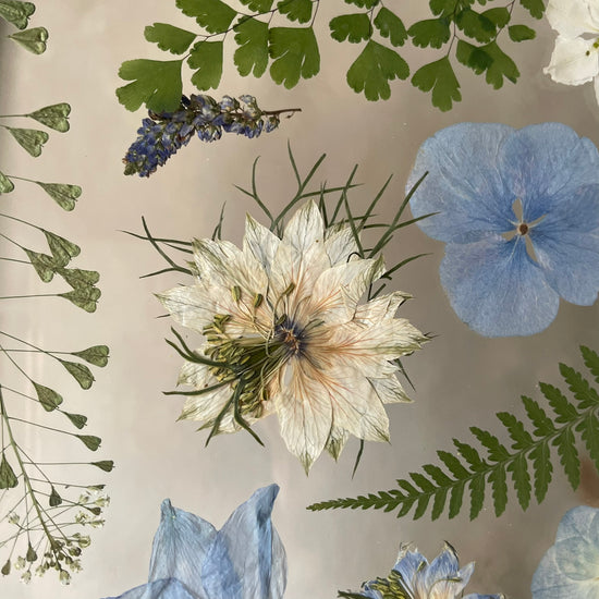 Průzračný jako voda ze studánky