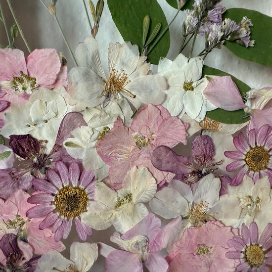 Píseň z růžového paloučku