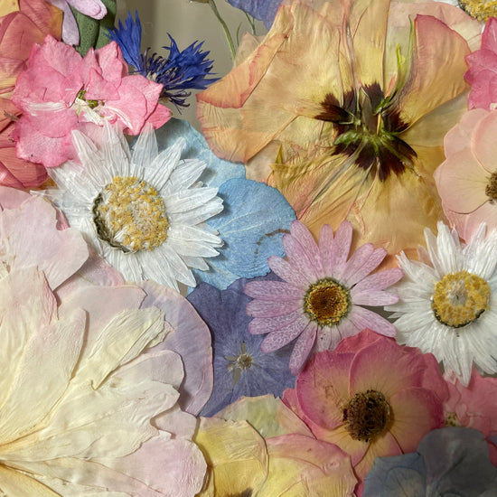 Levandulí provoněné