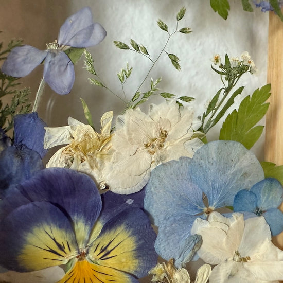 Dívá se do sluníčka