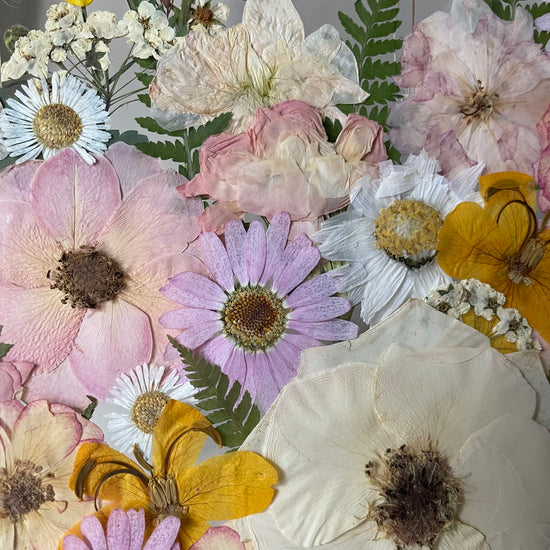 Vzhůru za dobrodružstvím