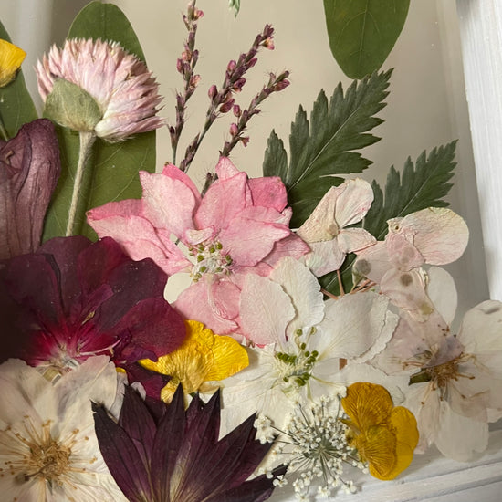 V tichosti rozkvétá