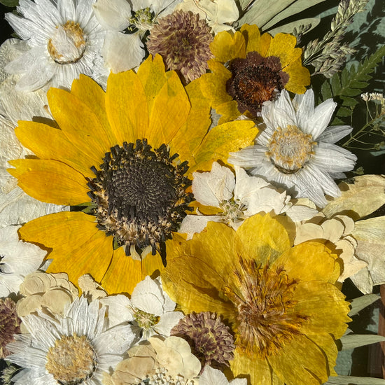 Cestou sluncem ozářenou - sada obrazů 2x S