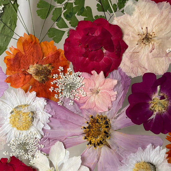 Cestička rozkvetlým údolíčkem