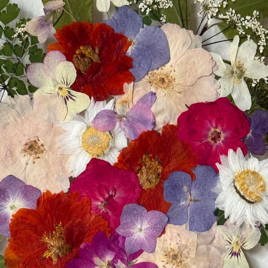 Jako se šňůrkou plnou korálků