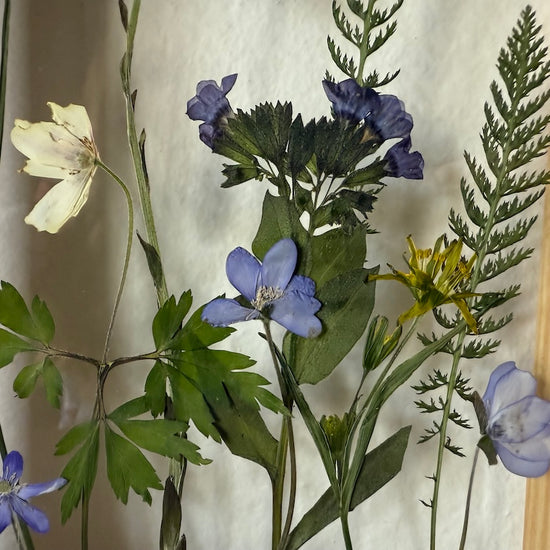 První jarní květena