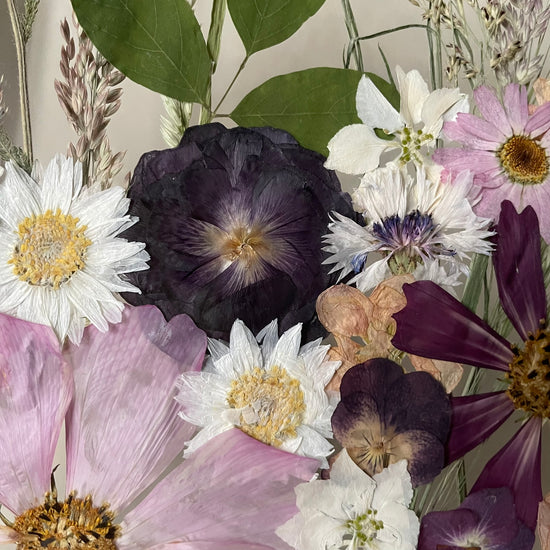 Co skrývá země za zrcadlem