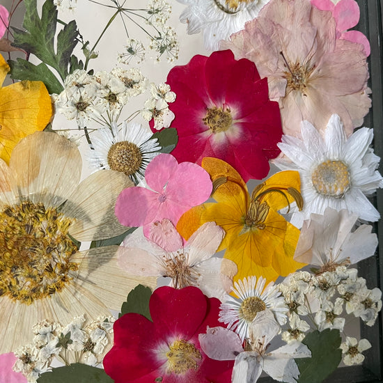 Barevné veselíčko