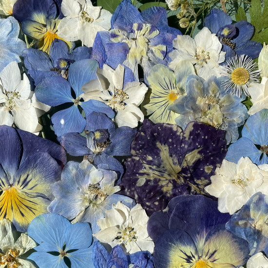 U pramenů říček - sada obrazů 2x M a 1x S