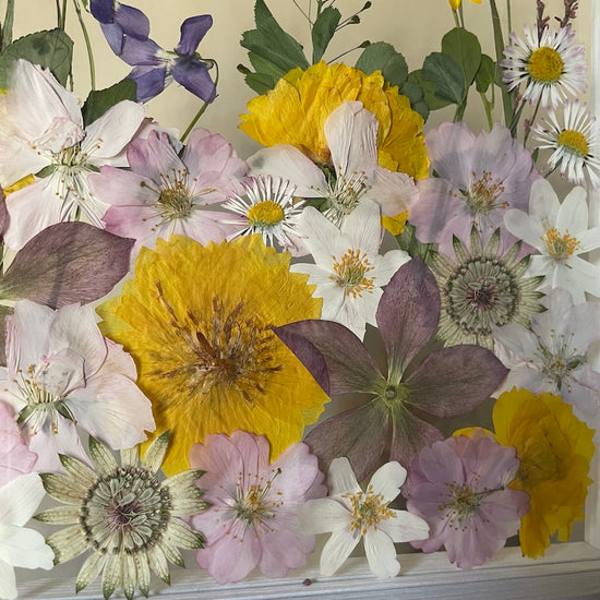 Tančí v paprskách slunce