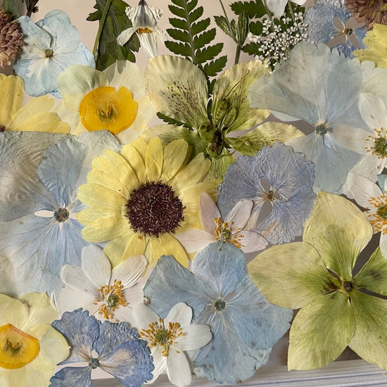 Vůně jarního deště