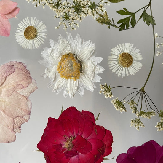 Ve víru jarního radování