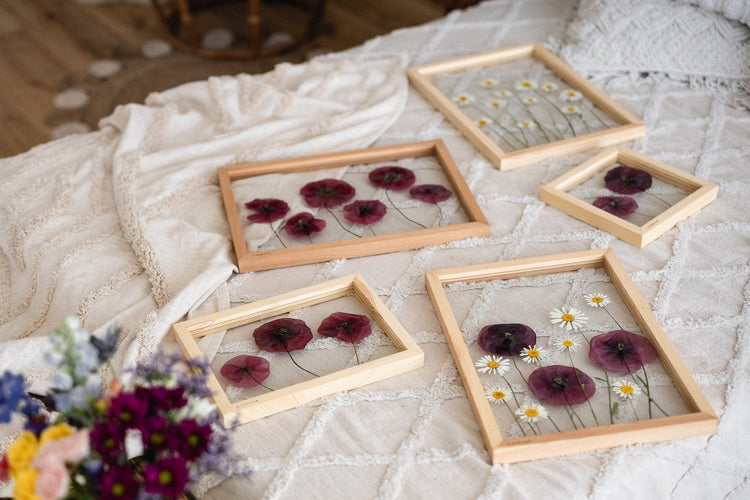 Maková a luční kolekce