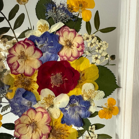 Rozmanitost folklóru