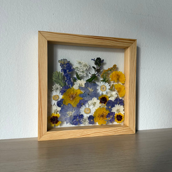 Mrazíkem pokrytá obloha