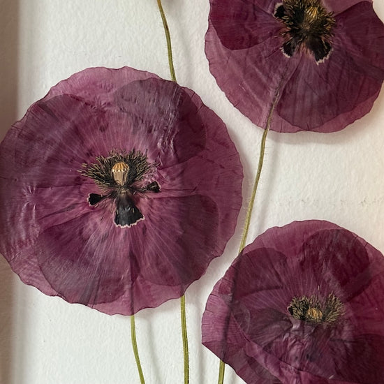 My tři, máci, jdeme k vám