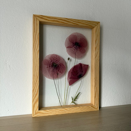 Šum makových křídel