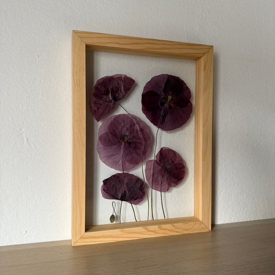 Na křídlech makových víl