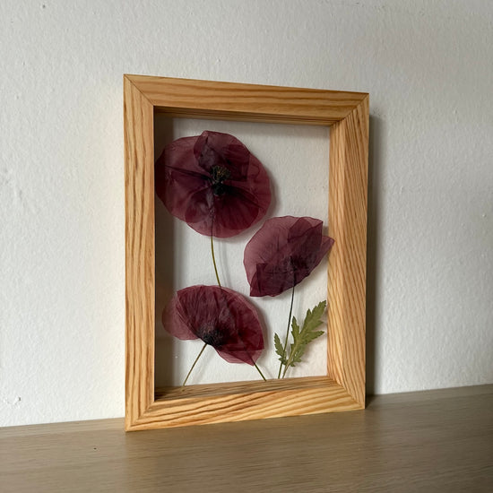 Pro mou milou makovou panenky