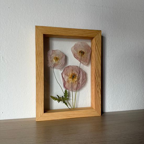 Jemná maková loučka