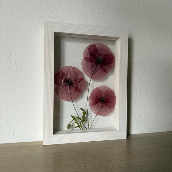 Dokonalá maková souhra