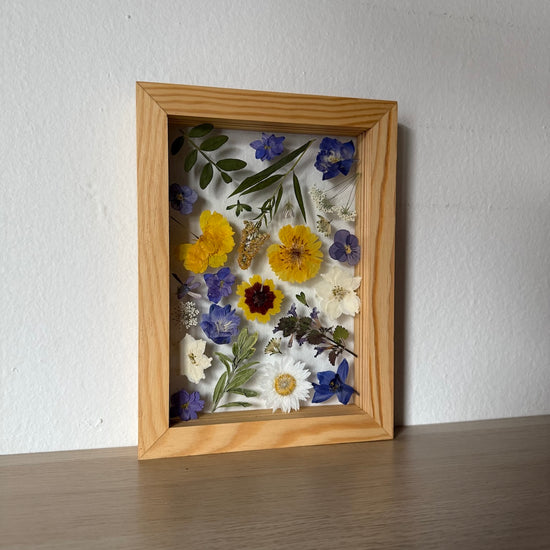 Souhra lučních květů