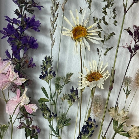 Bosou nohou po louce tančit