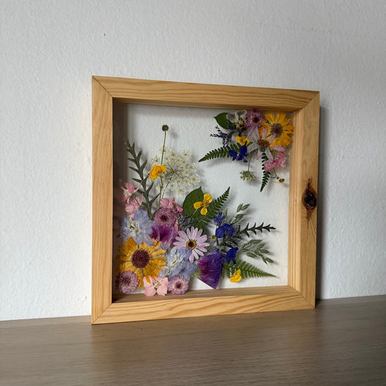 U chaloupky roste kvítí