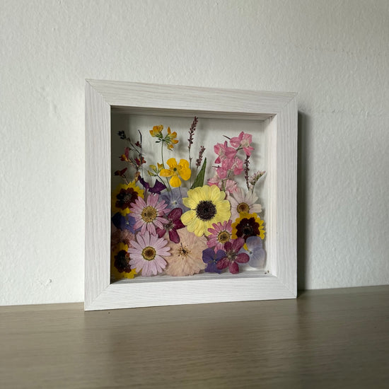 Květinky divoženky