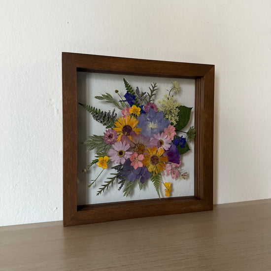 Lesnímu světu na dosah