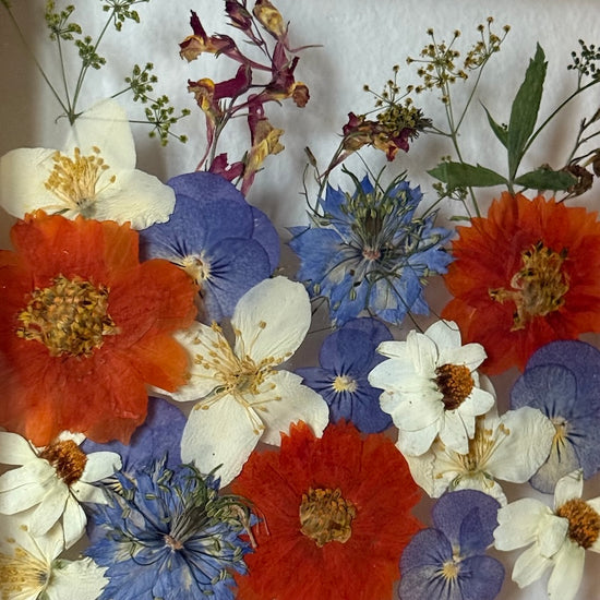 Mrazem obalené plody země