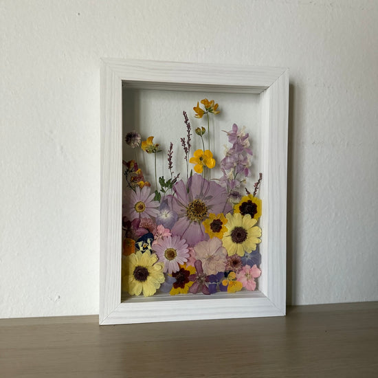 Tulení lučních krás