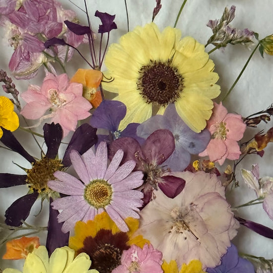 Když přijdeš blíže, uslyšíš bzučení luk