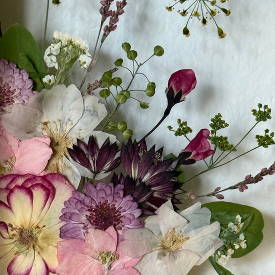 Jako růžové ohňostroje