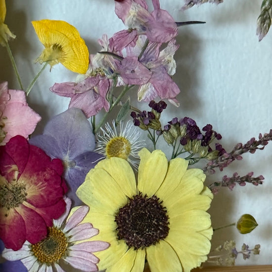 Vykukuje krásnoočko