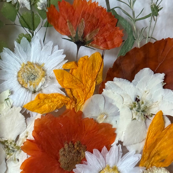 Sněhově slunečný den