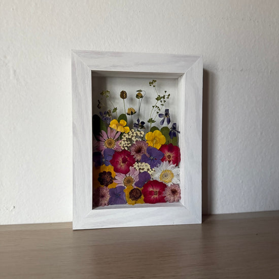 Příběhy loučky v bílém rámu