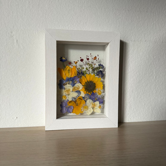 Slunečnice mezi kapkami deště