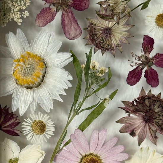 Zimní hrátky květin