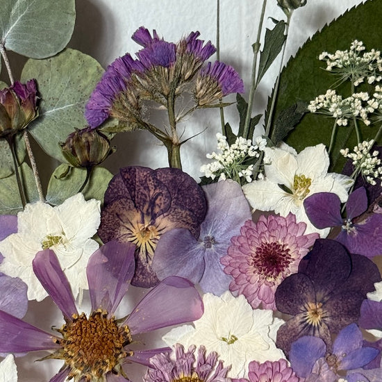 Trčivka na fialkovém paloučku