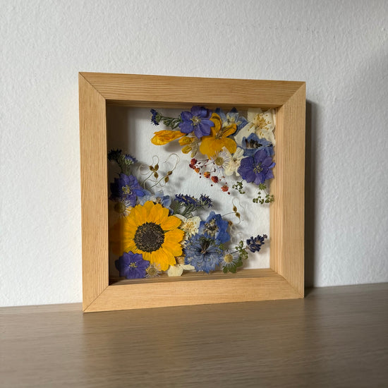 Jedno slunce svítí pro radost