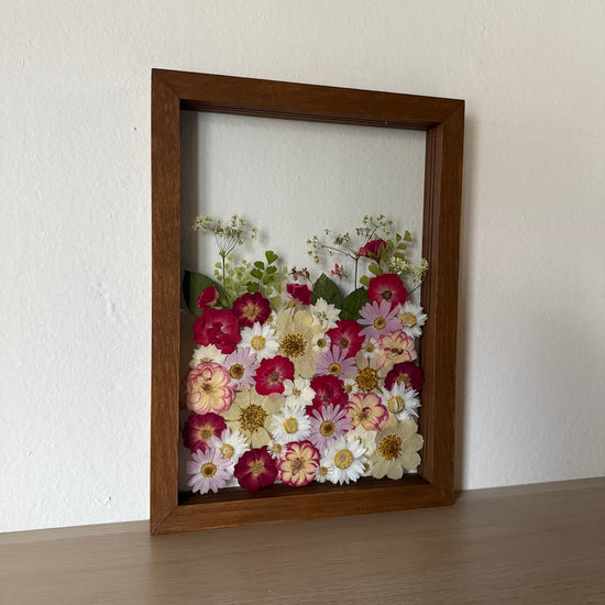 Červená se, line záře